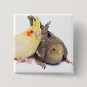 Cockatiels 15 Cm Square Badge