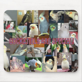 Cockatiels are special mouse mat