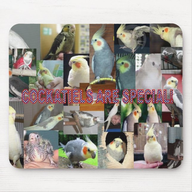 Cockatiels are special mouse mat (Front)