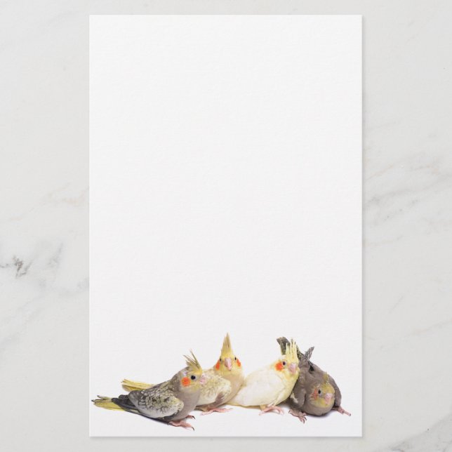 Cockatiels Stationery (Front)
