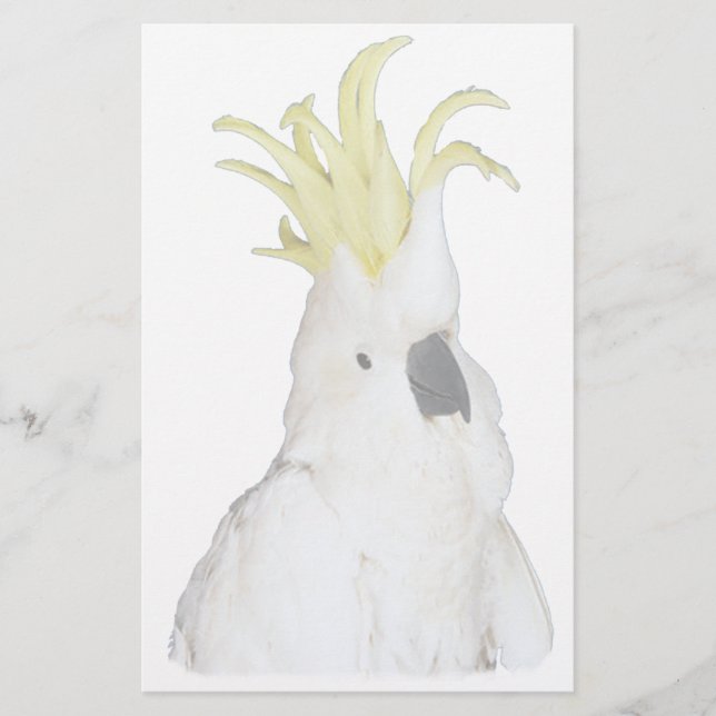 Cockatoo (Front)