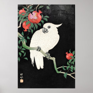 Cockatoo and Pomegranate by Ohara Koson Poster