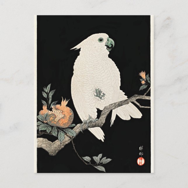 Cockatoo and Pomegranate, fine art by Ohara Koson Postcard (Front)