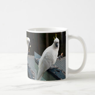 Cockatoo at breakfast coffee mug