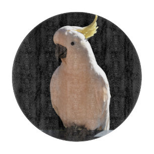 Cockatoo at Sundial Apartments Chopping Board