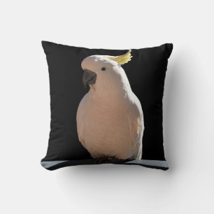 Cockatoo at Sundial Apartments Cushion