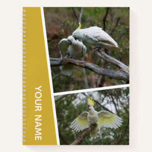 Cockatoo Australia Parrot Bird Photo Collage Gold Notebook