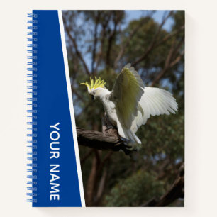 Cockatoo Australia Parrot Bird Wings, Blue Notebook