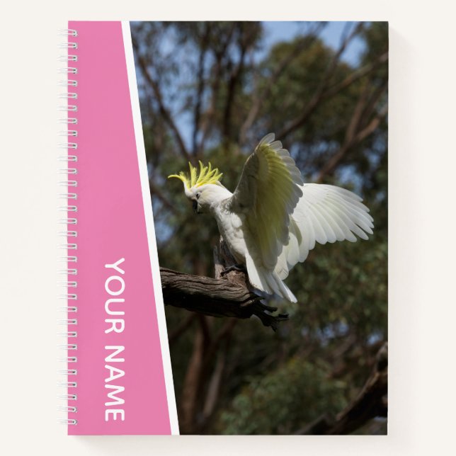 Cockatoo Australia Parrot Bird Wings, Pink Notebook (Front)