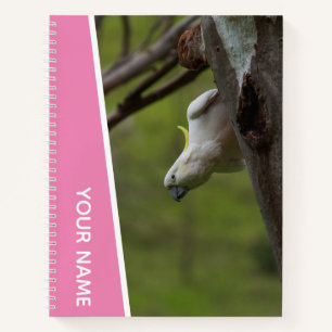 Cockatoo Australia Parrot Upside Down, Funny Pink Notebook