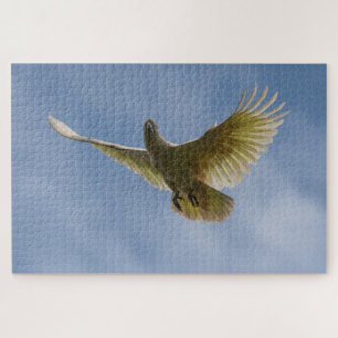 Cockatoo Bird Parrot Animal Fly Sky, 1014 pieces Jigsaw Puzzle
