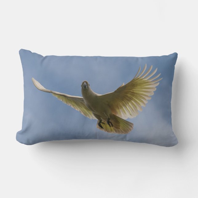 Cockatoo Bird Parrot Animal Fly Sky Australia Lumbar Cushion (Front)