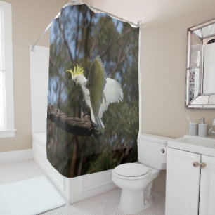 Cockatoo Bird Parrot Spreading Wings Australia Shower Curtain