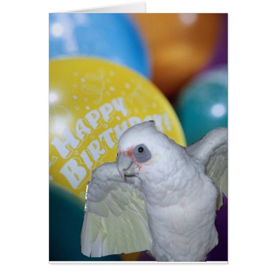 Cockatoo Birthday Card