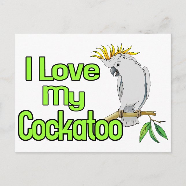 Cockatoo Love Postcard (Front)