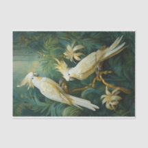 Cockatoo Lovers, White Feathers Elegance