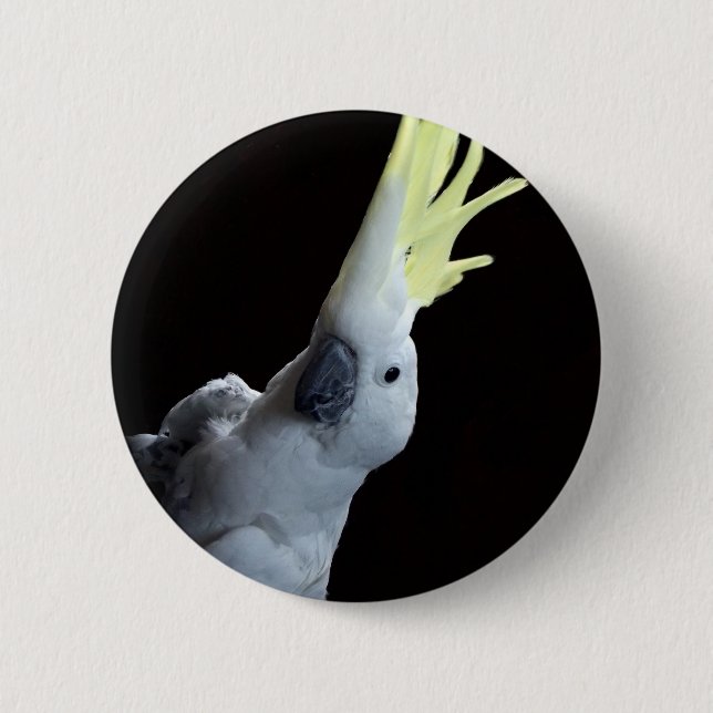 Cockatoo Parrot 6 Cm Round Badge (Front)