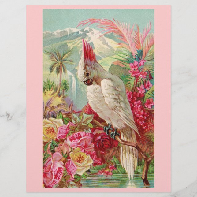 Cockatoo Pink Roses (Front)