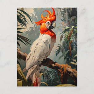 Cockatoo Portrait Vintage Postcard