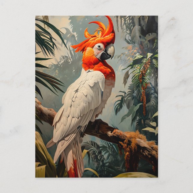 Cockatoo Portrait Vintage Postcard (Front)