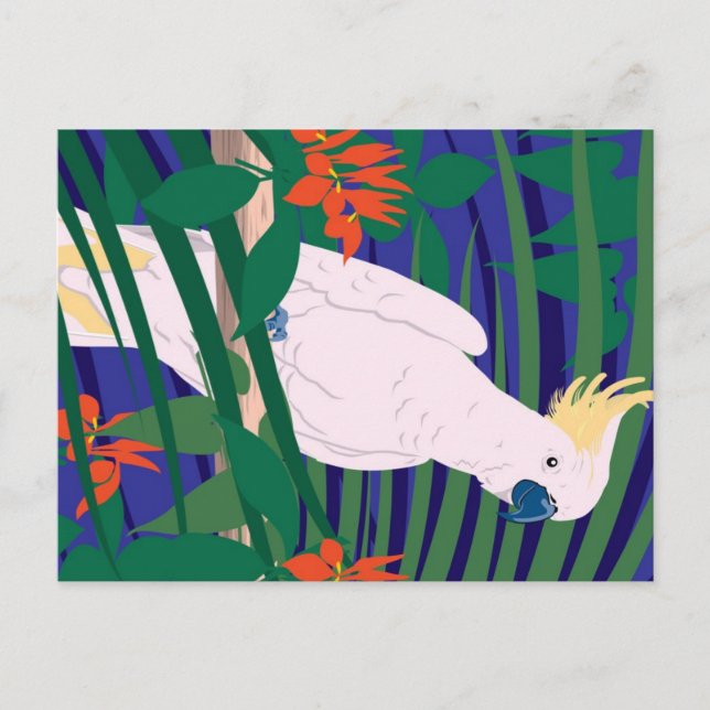 Cockatoo Postcard (Front)