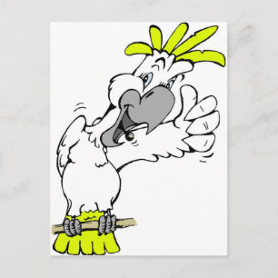 cockatoo postcard