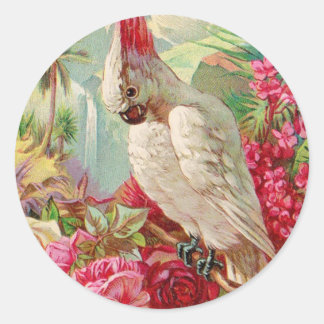 Cockatoo & Roses Vintage Art Classic Round Sticker