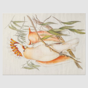 Cockatoo Tissue Paper