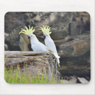 Cockatoos Mouse Mat
