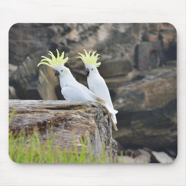 Cockatoos Mouse Mat (Front)