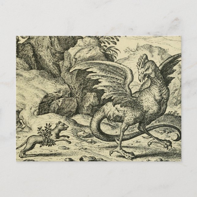 "Cockatrice vs. Weasel"  Postcard (Front)