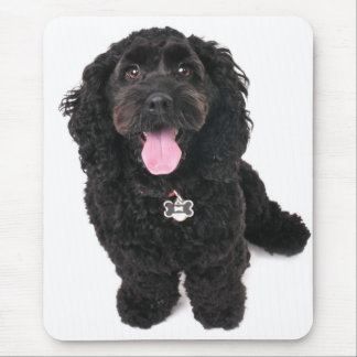 cocker poodle mix puppy  looking up mouse mat
