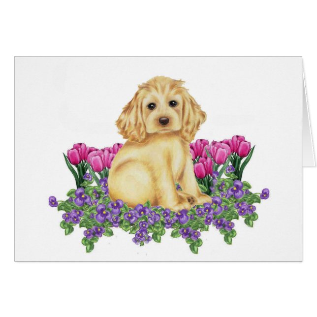 Cocker Spaniel (Front Horizontal)