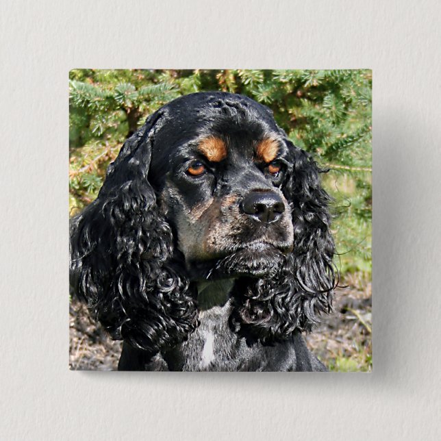 Cocker Spaniel 15 Cm Square Badge (Front)