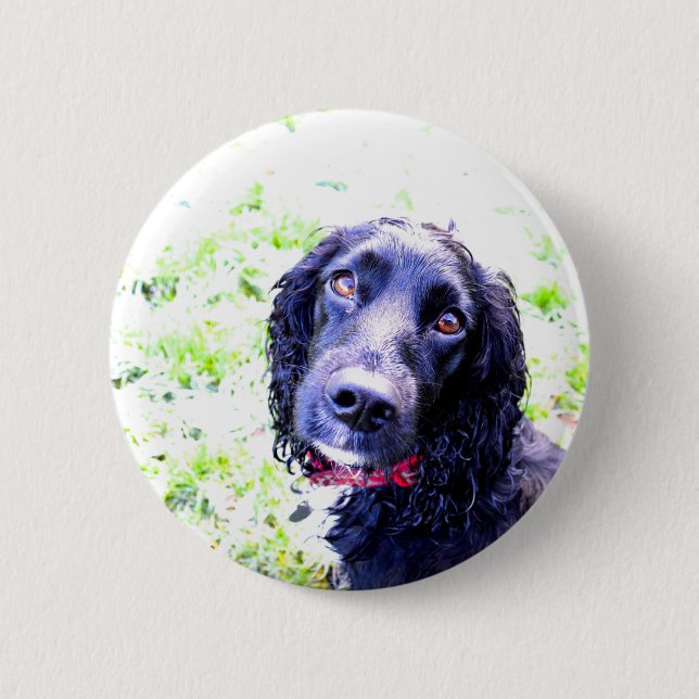 Cocker Spaniel 6 Cm Round Badge (Front)