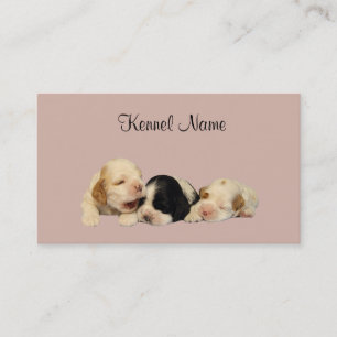Cocker Spaniel Breeder Business Card