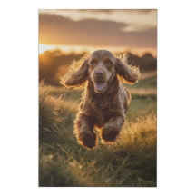 Cocker Spaniel Canvas Wall Art