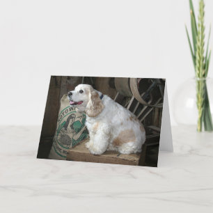 Cocker Spaniel Card
