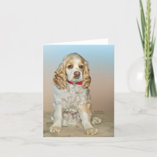 Cocker Spaniel Card
