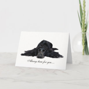 Cocker Spaniel Card