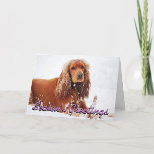 Cocker Spaniel Christmas card