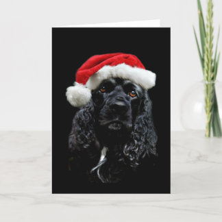 Cocker Spaniel Christmas Holiday Card