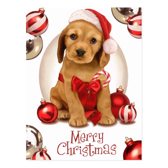 Cocker Spaniel Christmas Postcard