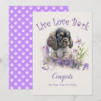 Cocker Spaniel Dog Adoption, Gotcha Day