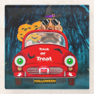 Cocker Spaniel Dog Driving Car Scary Halloween  Glass Coaster