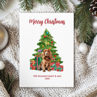 Cocker Spaniel Dog Family Christmas