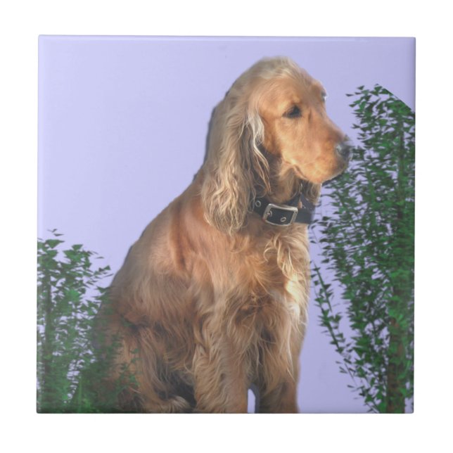 Cocker Spaniel dog lover Tile (Front)