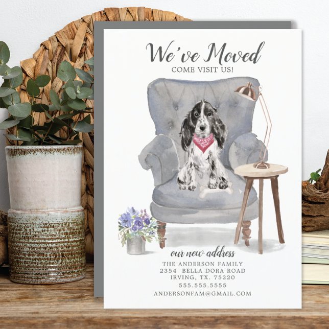 Cocker Spaniel Dog | Moving Announcement (Creator Uploaded)