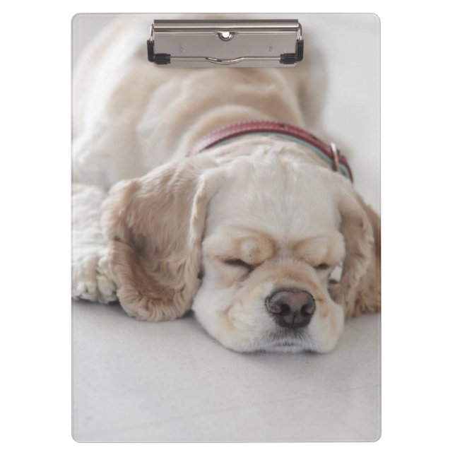 Cocker spaniel dog sleeping clipboard (Front)