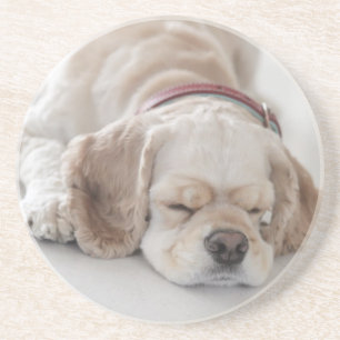 Cocker spaniel dog sleeping coaster